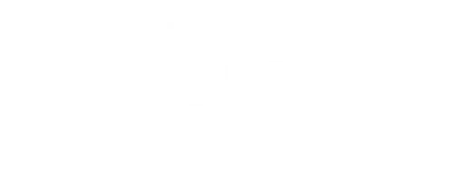NafeProxys